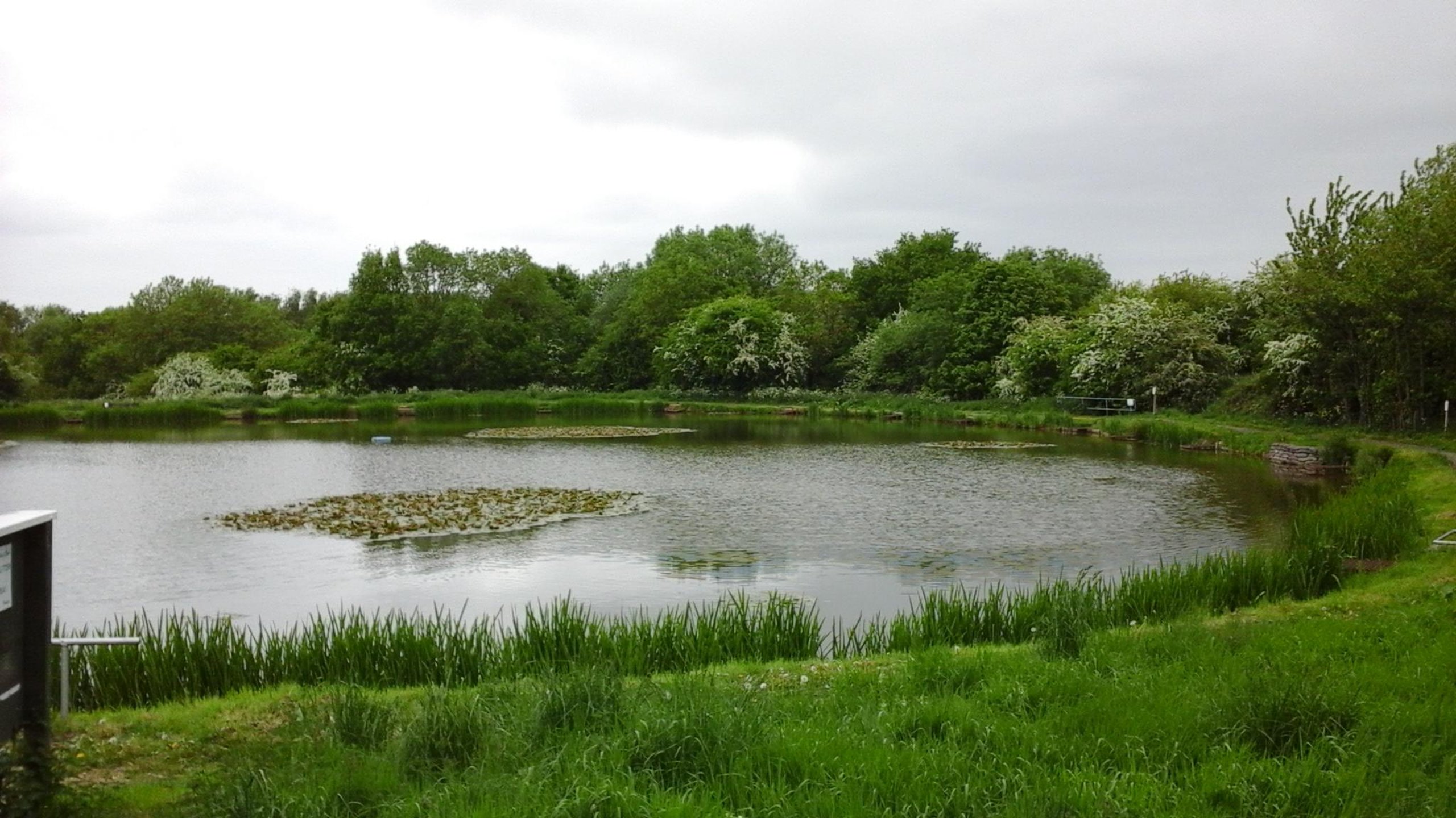 Wellow Dam, NG22 0EA image 1